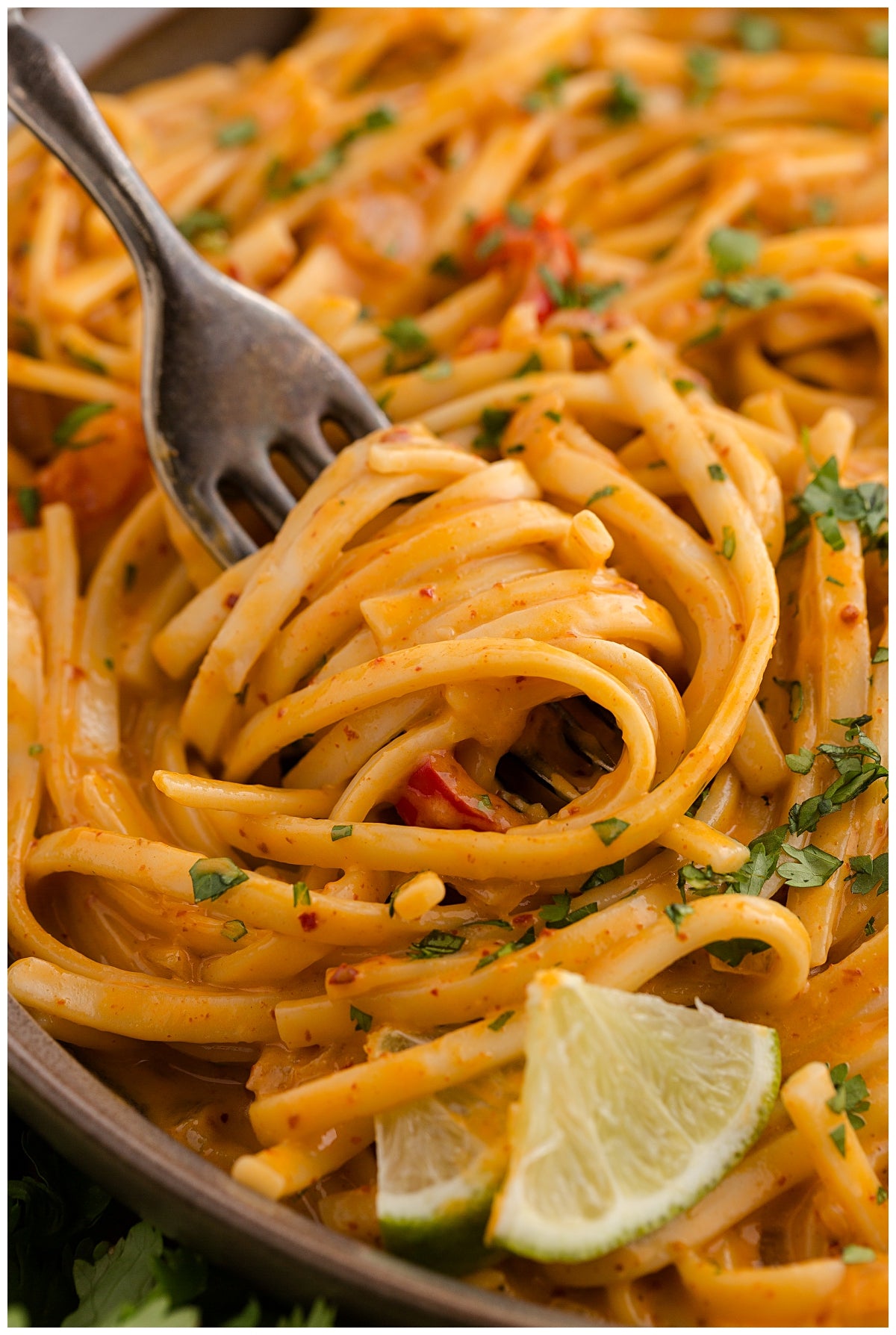*Curry Noodles Exclusive