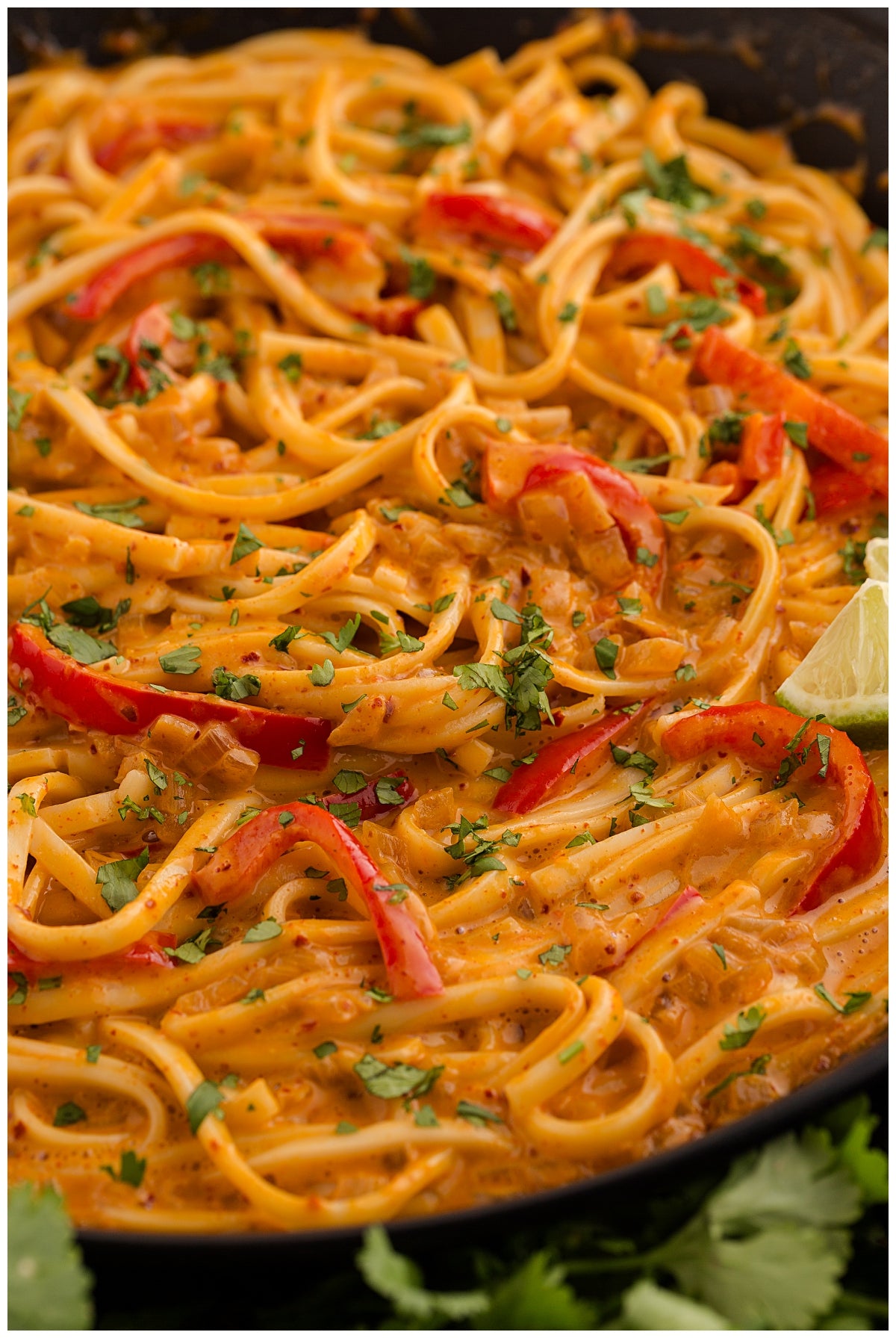 *Curry Noodles Exclusive