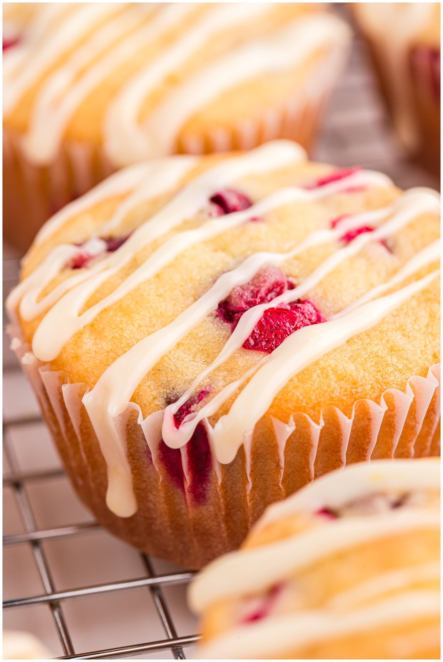 Cranberry and Orange Muffins Exclusive