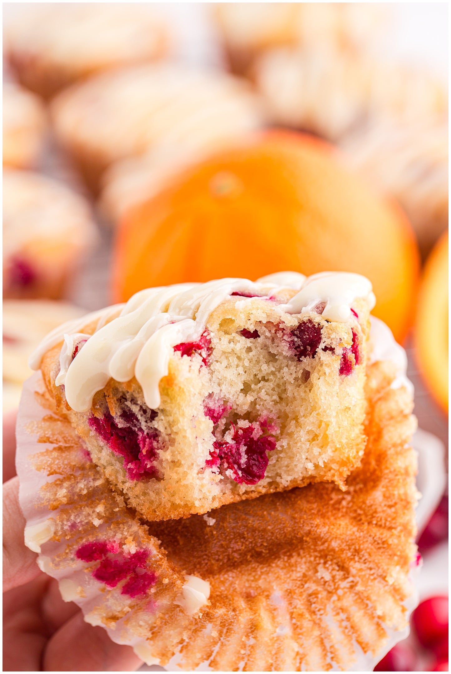 Cranberry and Orange Muffins Exclusive