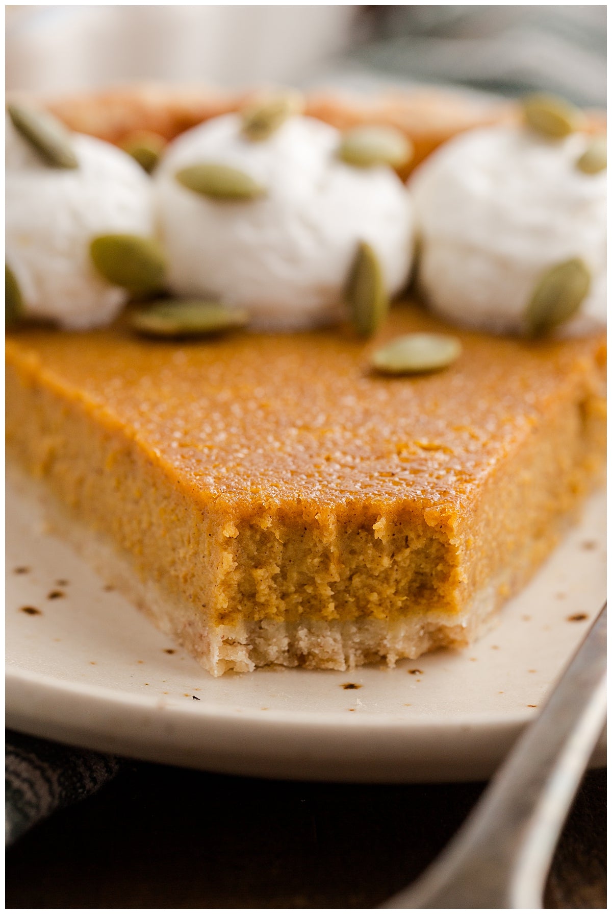 Pumpkin Tart Exclusive