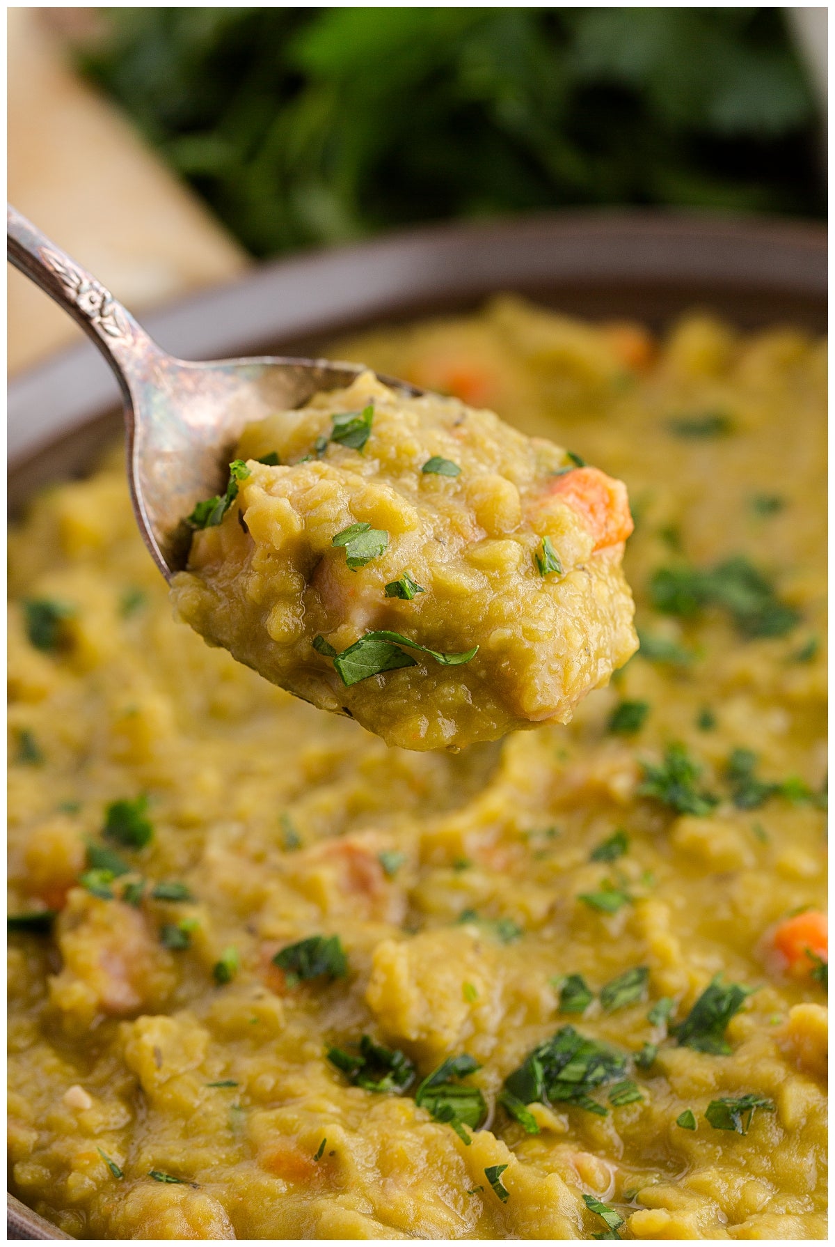 Split Pea and Ham Soup Exclusive