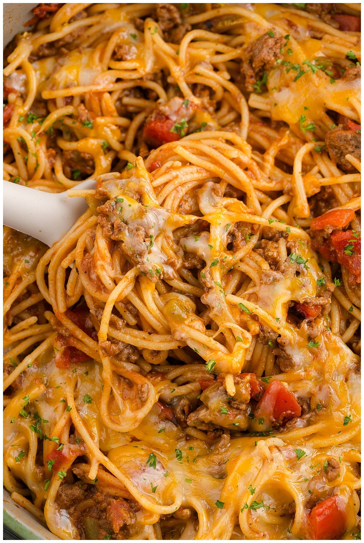 Taco Spaghetti Exclusive