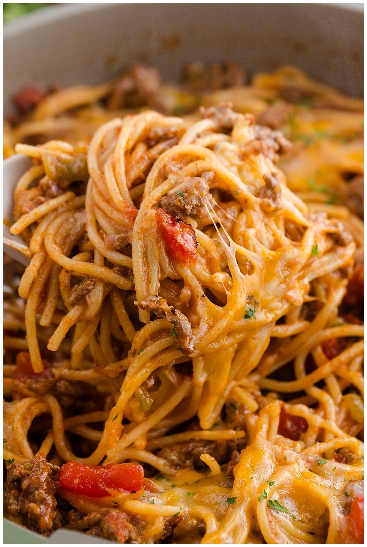 Taco Spaghetti Exclusive