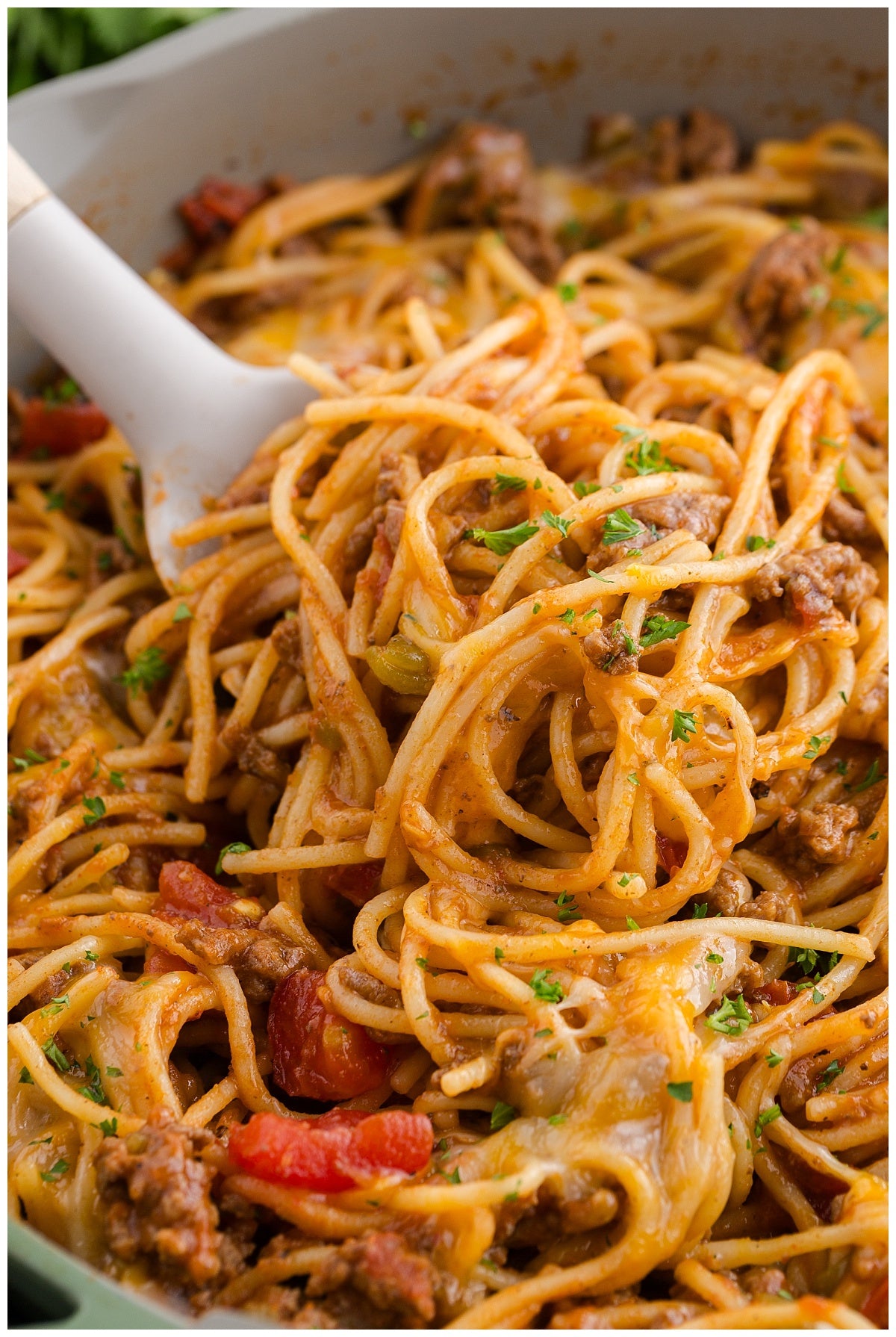 Taco Spaghetti Exclusive