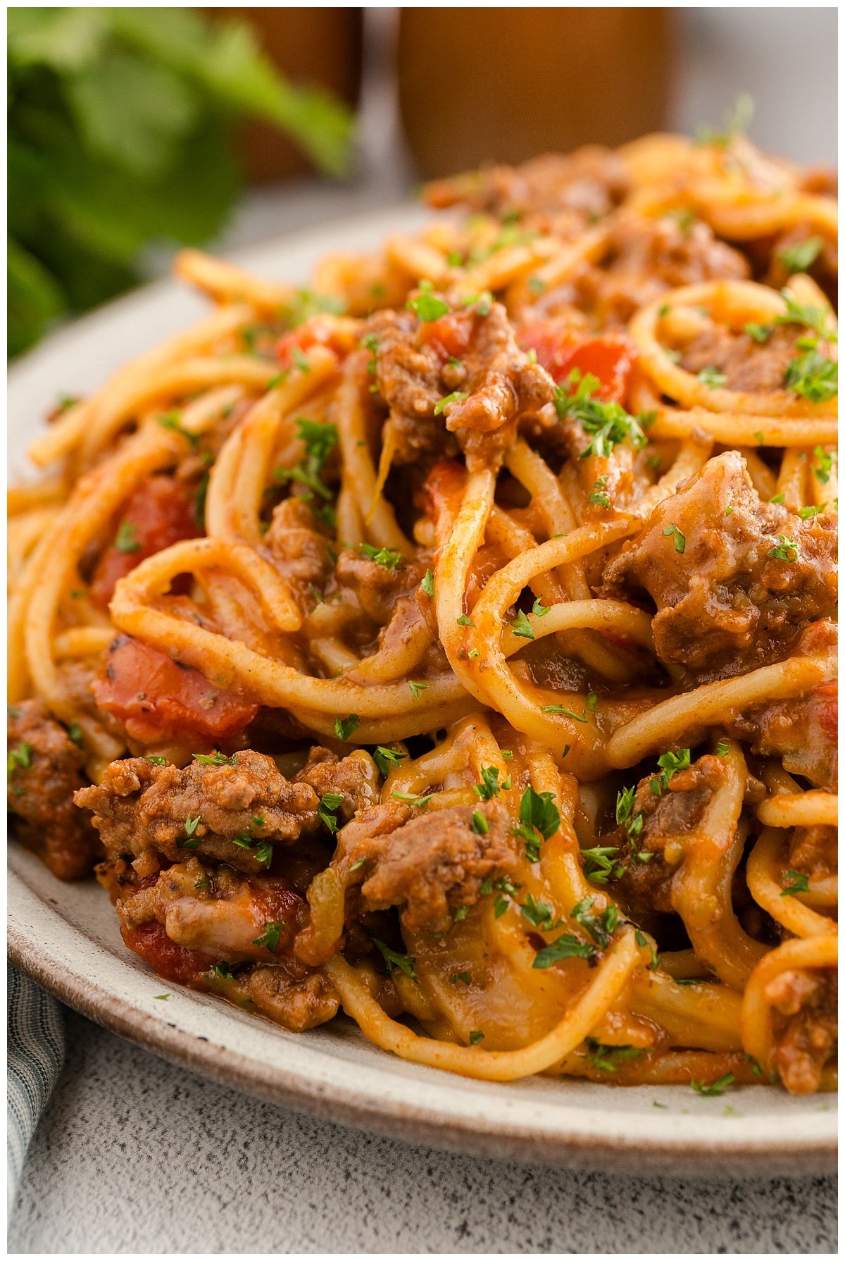 Taco Spaghetti Exclusive