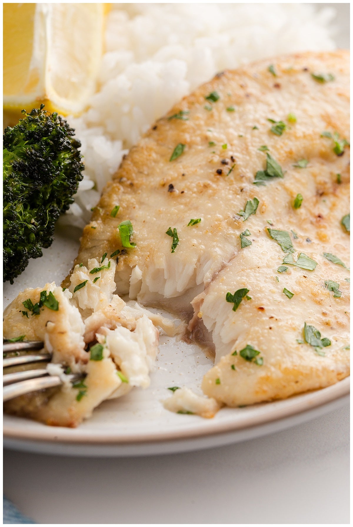 Air Fryer Tilapia Exclusive