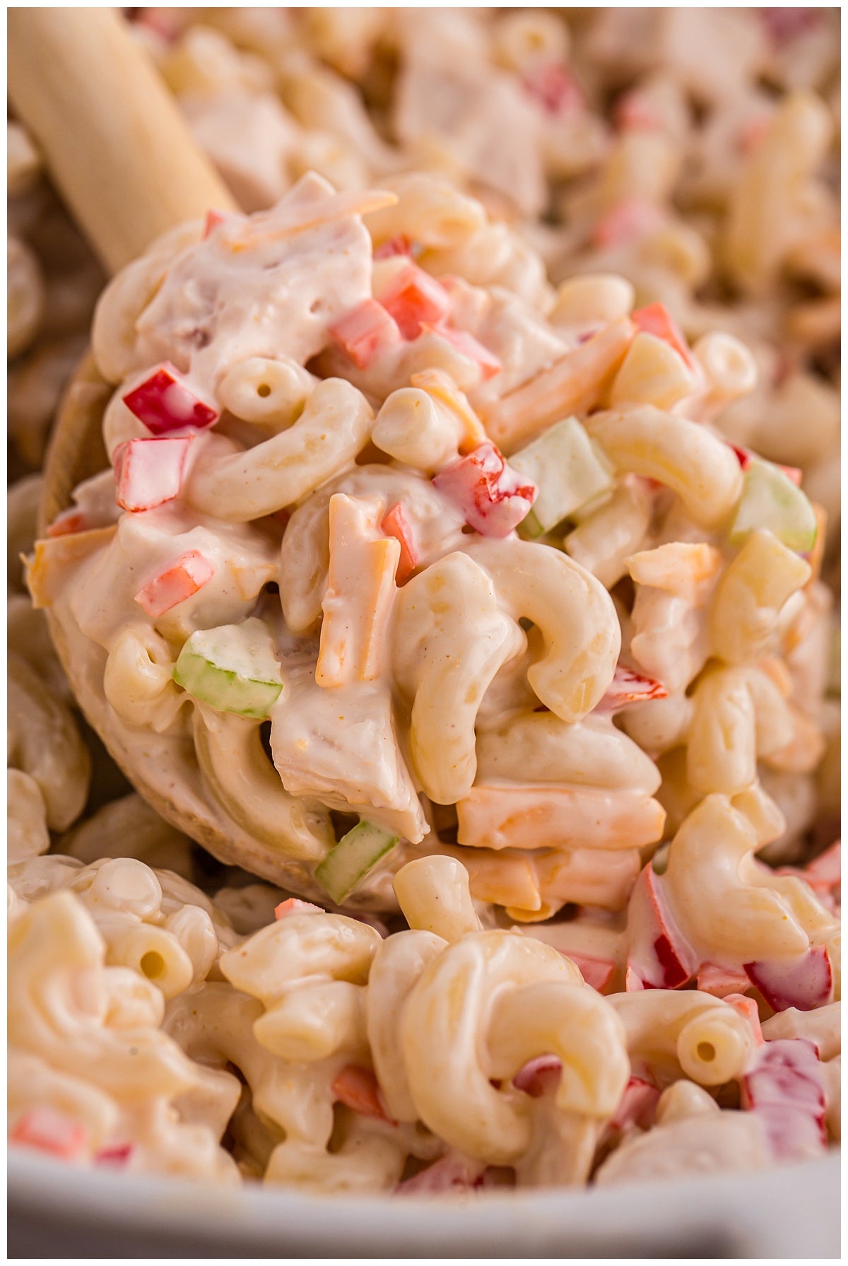 Chicken Macaroni Salad Exclusive