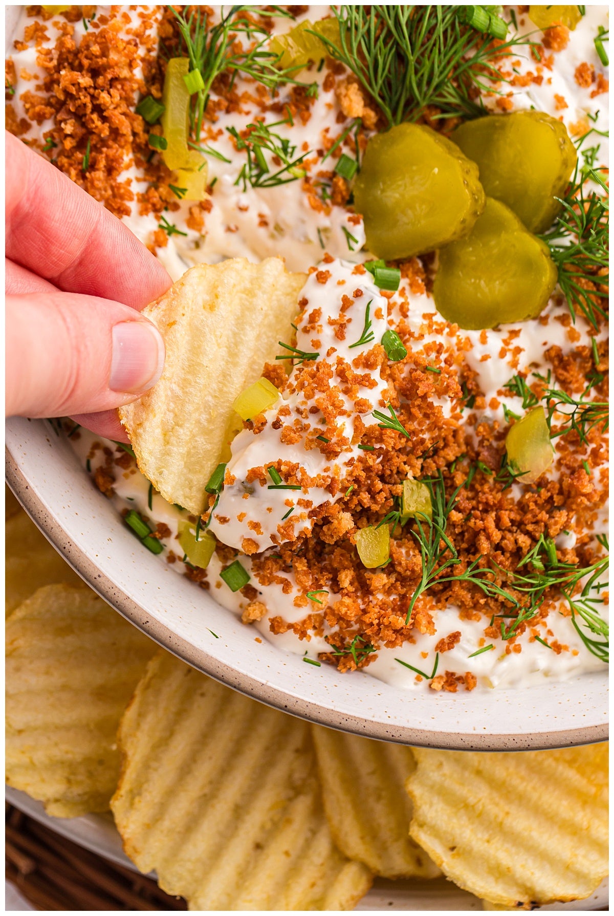 Fried Pickle Dip Exclusive