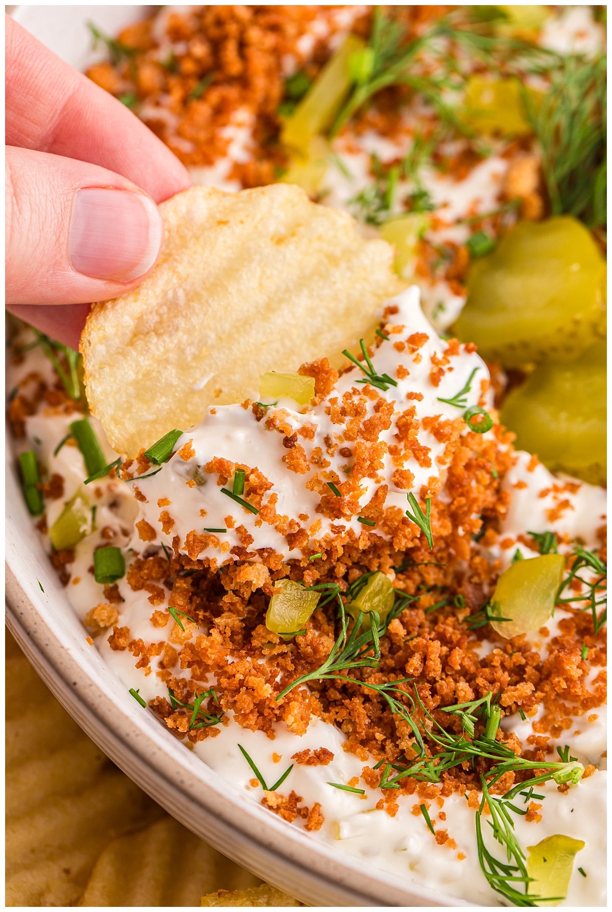 Fried Pickle Dip Exclusive