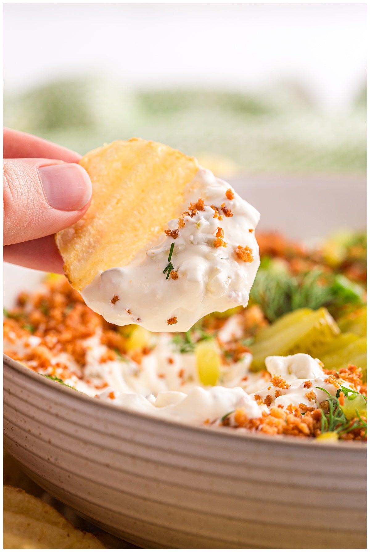 Fried Pickle Dip Exclusive