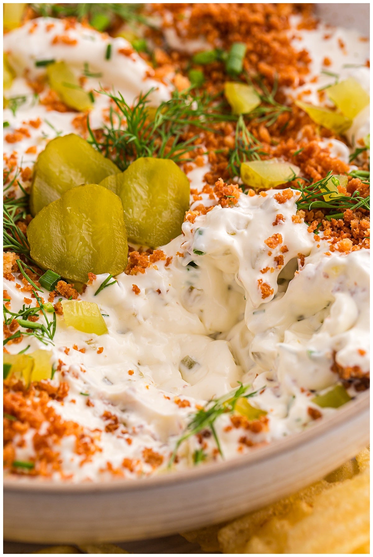 Fried Pickle Dip Exclusive