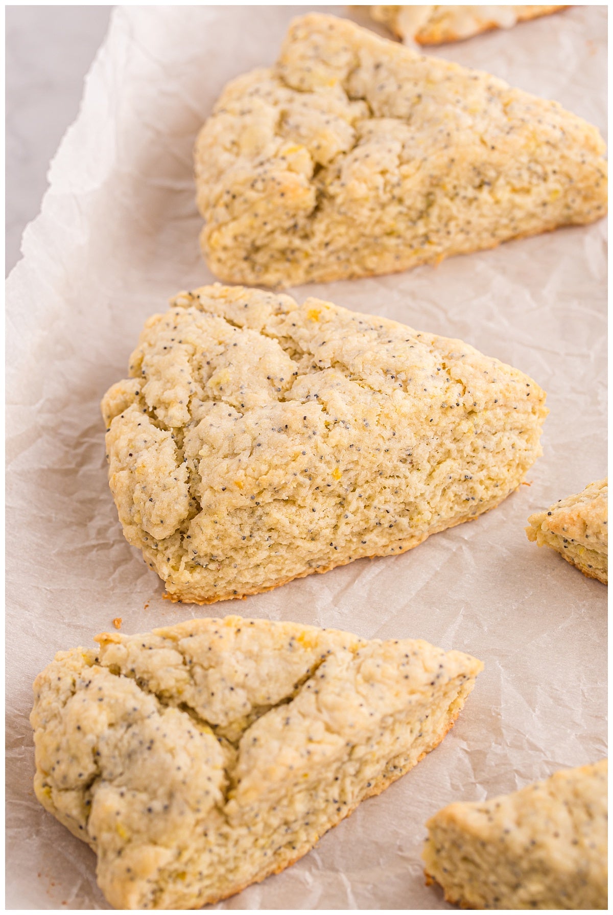Lemon Poppy Seed Scones Exclusive
