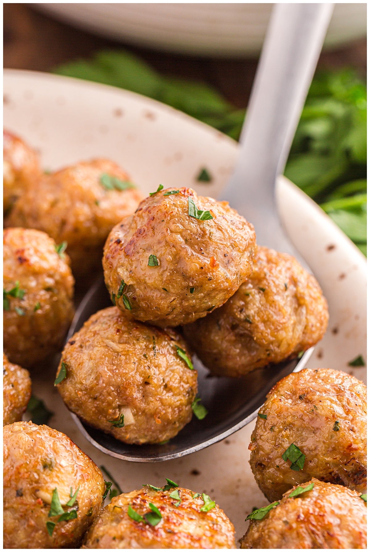 Turkey Meatballs Exclusive
