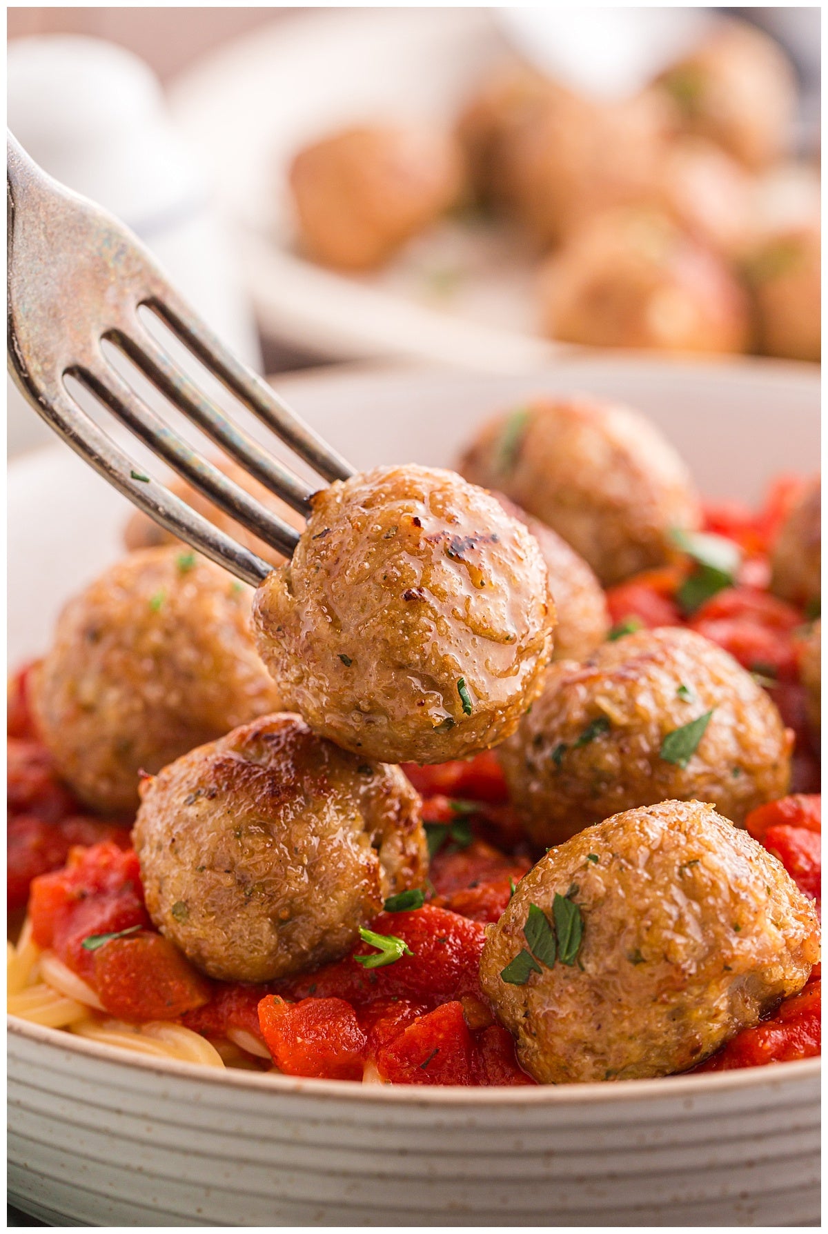 Turkey Meatballs Exclusive
