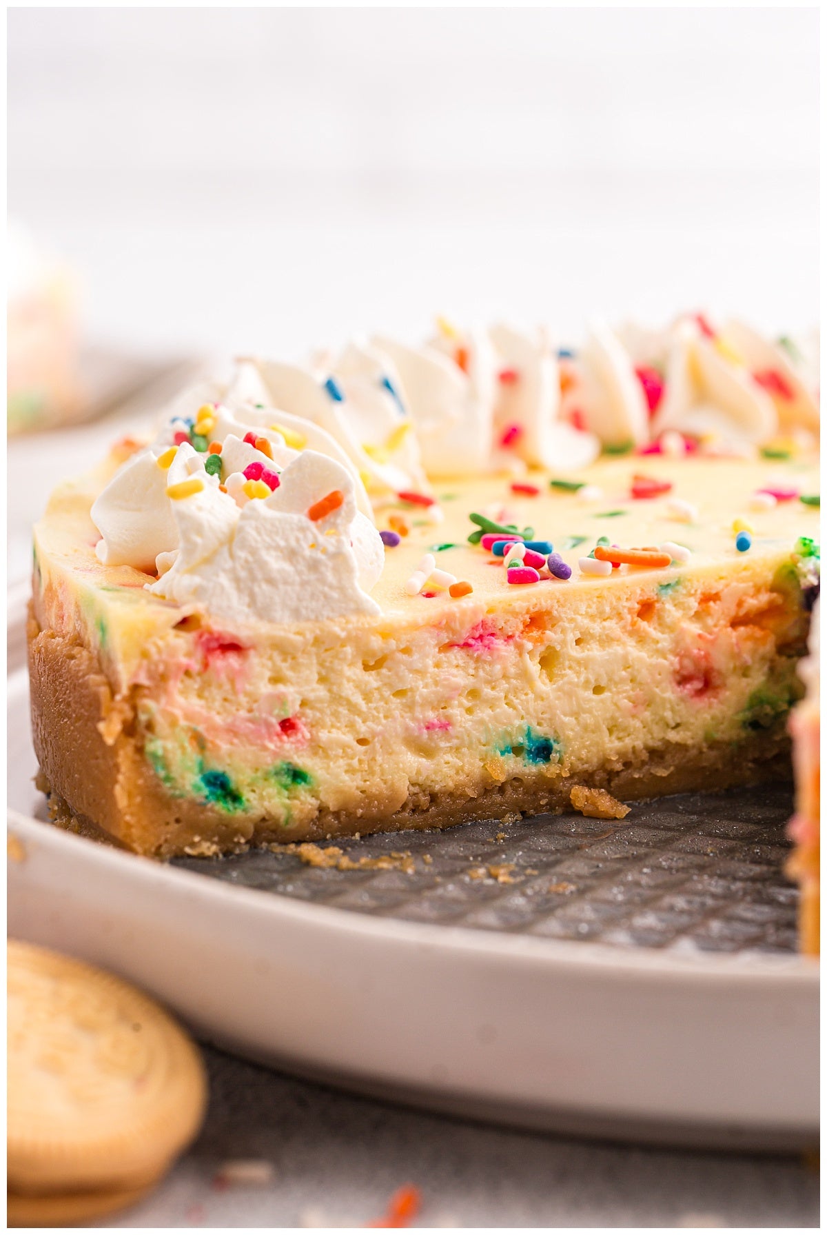 Birthday Cheesecake Exclusive