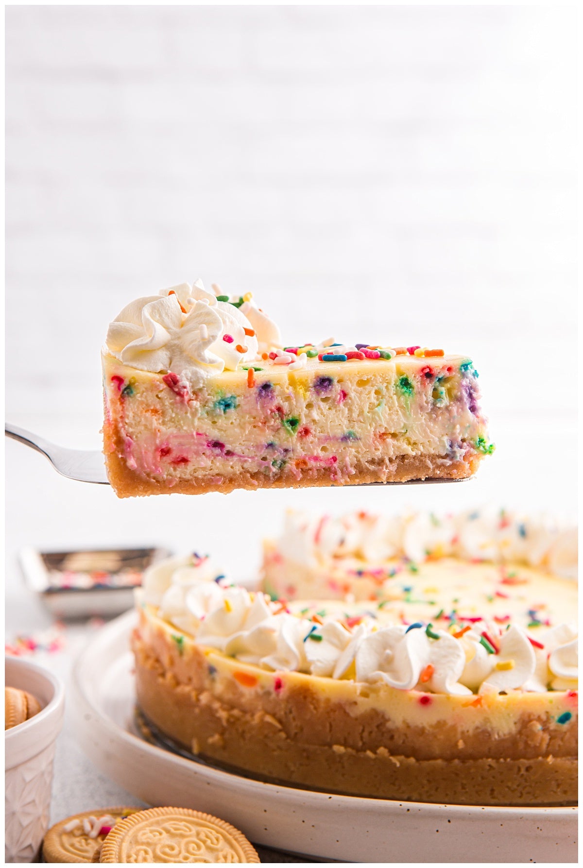Birthday Cheesecake Exclusive