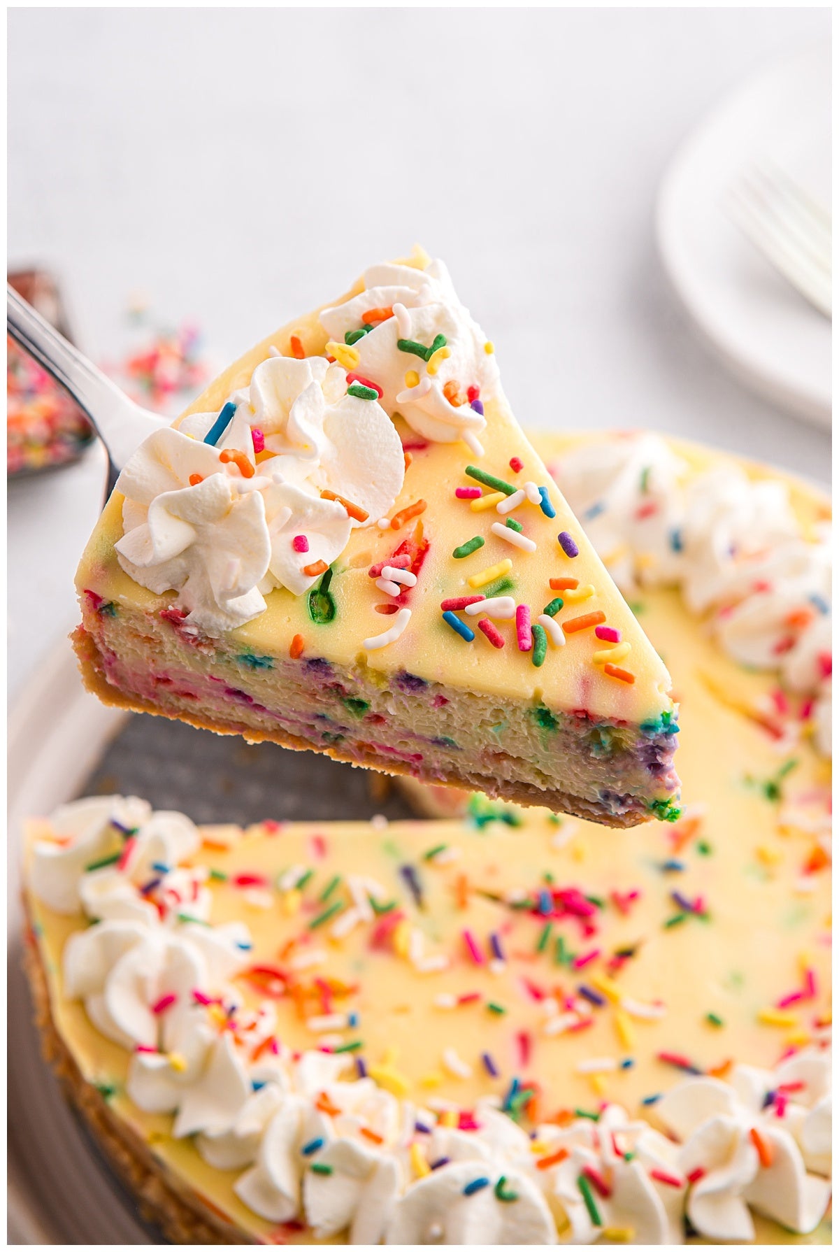 Birthday Cheesecake Exclusive