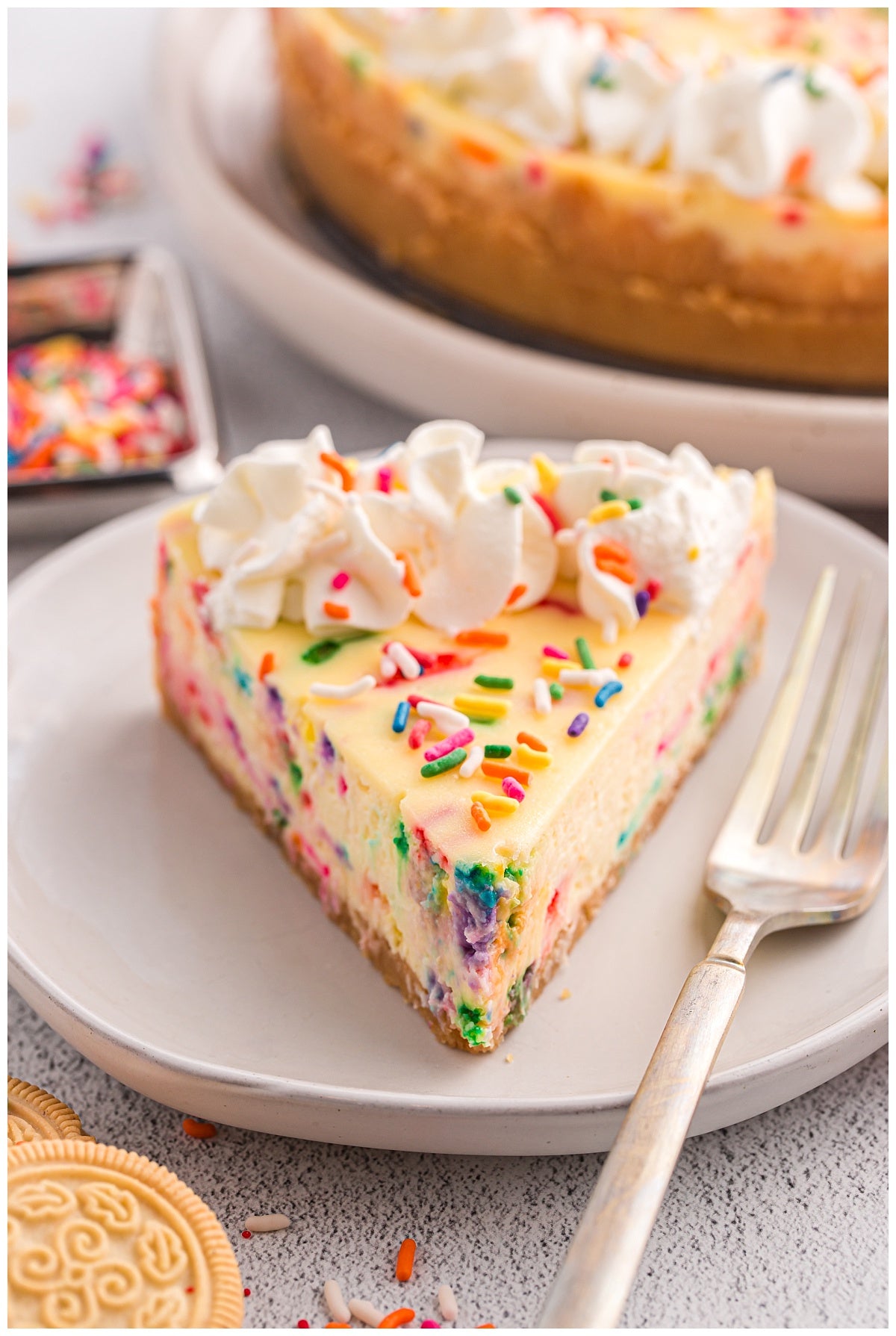 Birthday Cheesecake Exclusive