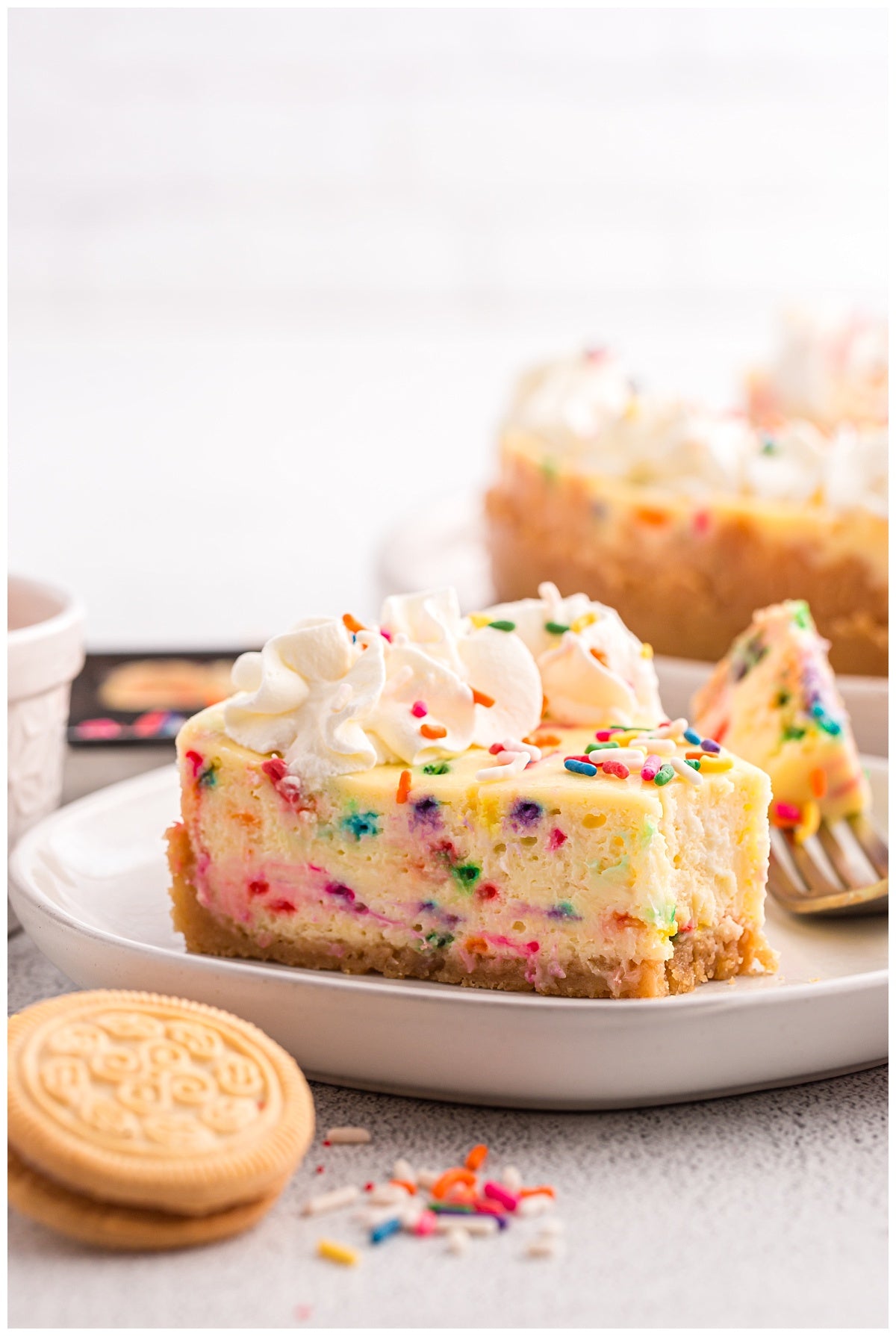 Birthday Cheesecake Exclusive