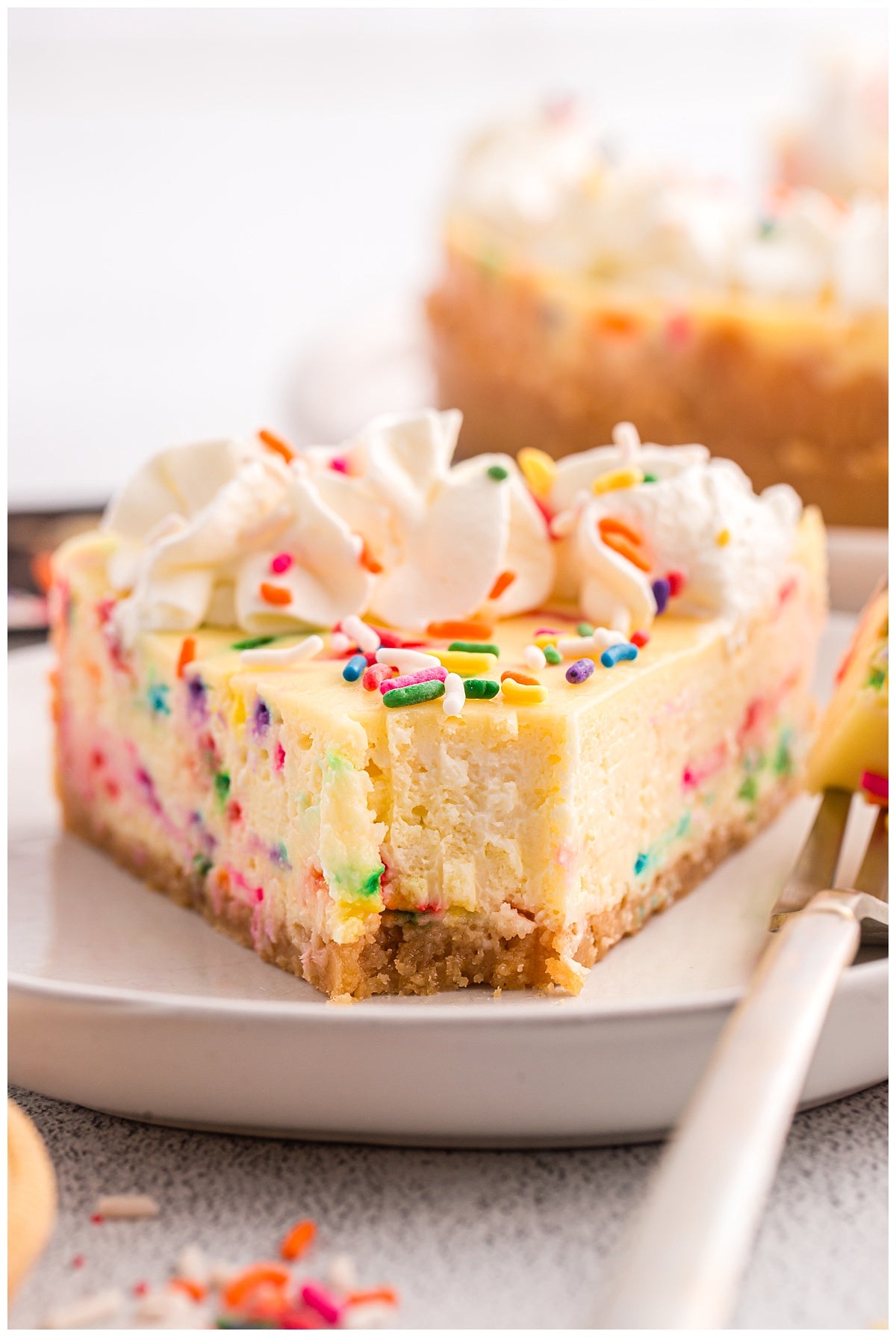 Birthday Cheesecake Exclusive