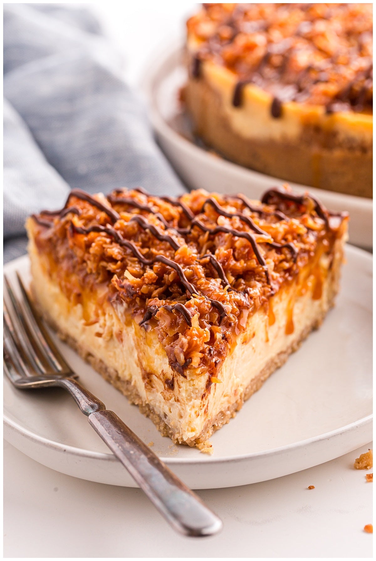 Samoa Cheesecake (Baked) Exclusive