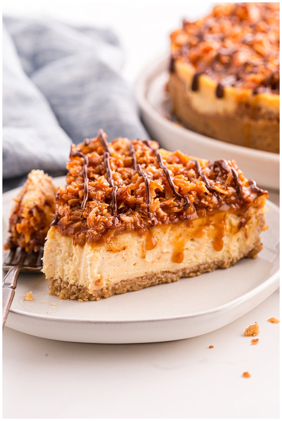 Samoa Cheesecake (Baked) Exclusive