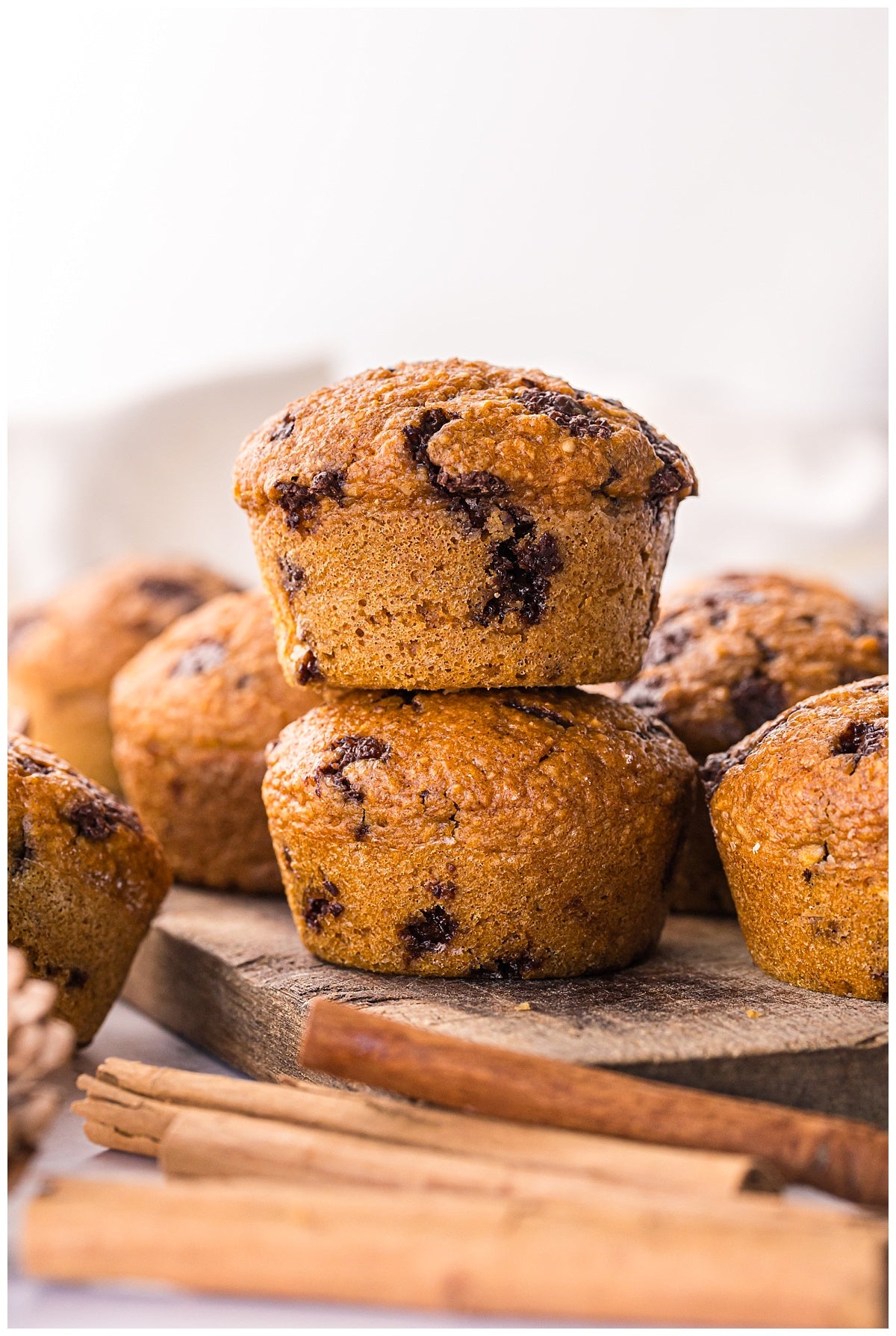 *Pumpkin Blender Muffins Exclusive