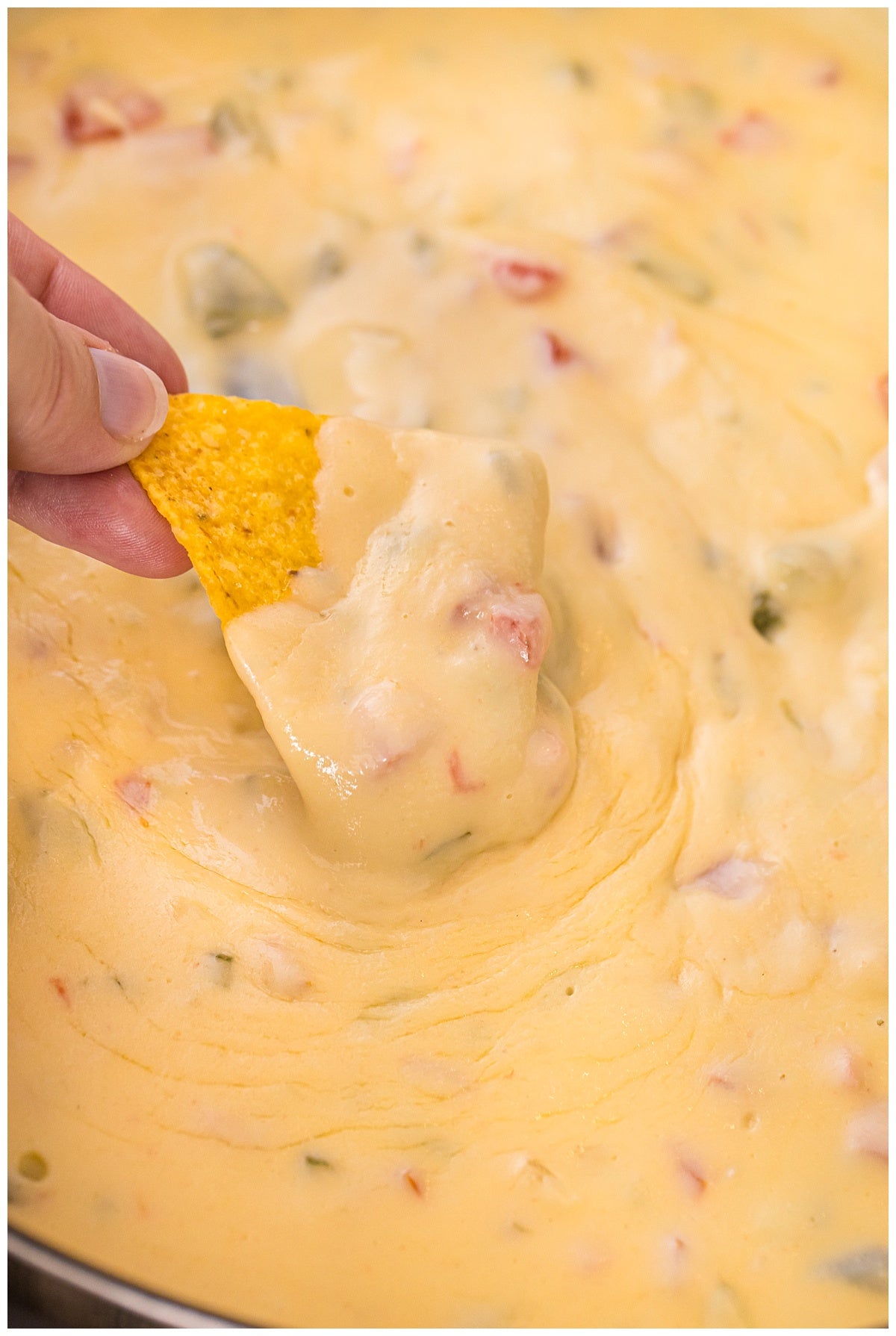 Chipotle Queso Exclusive
