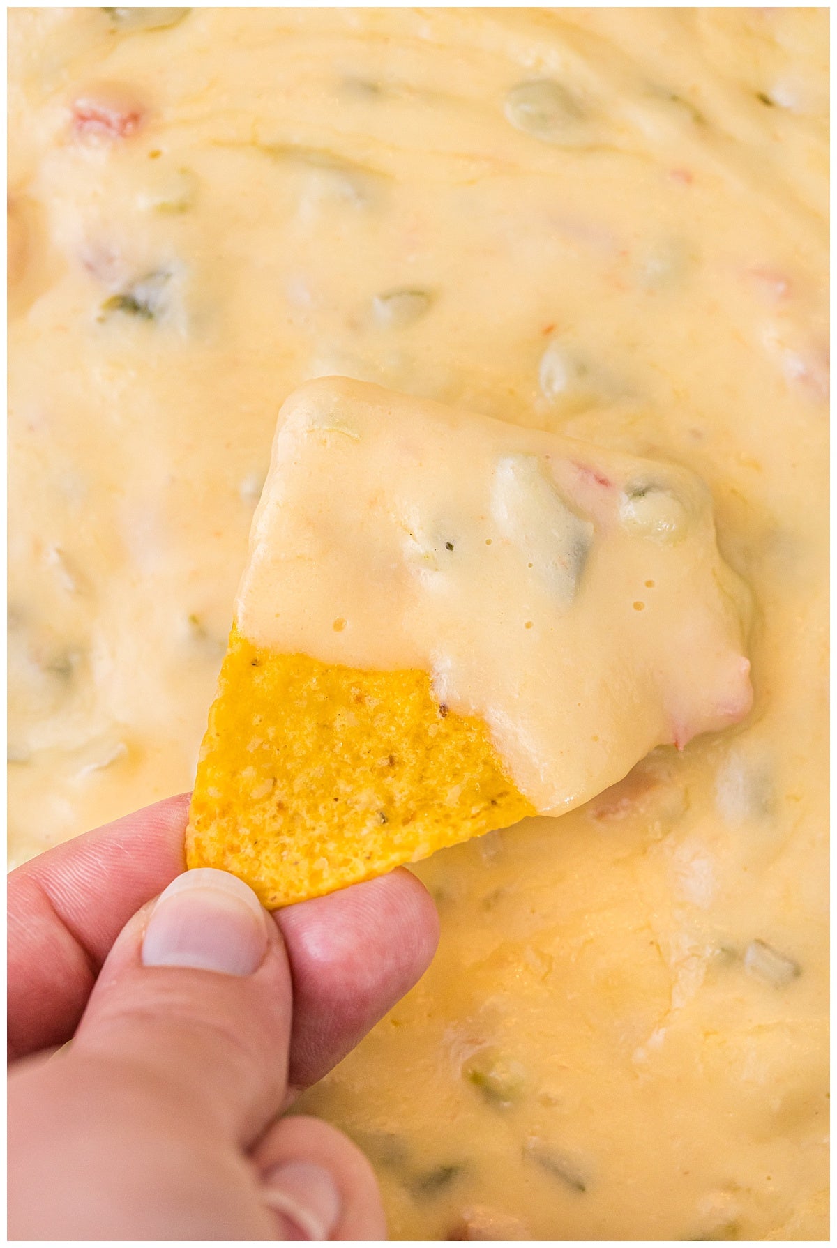 Chipotle Queso Exclusive
