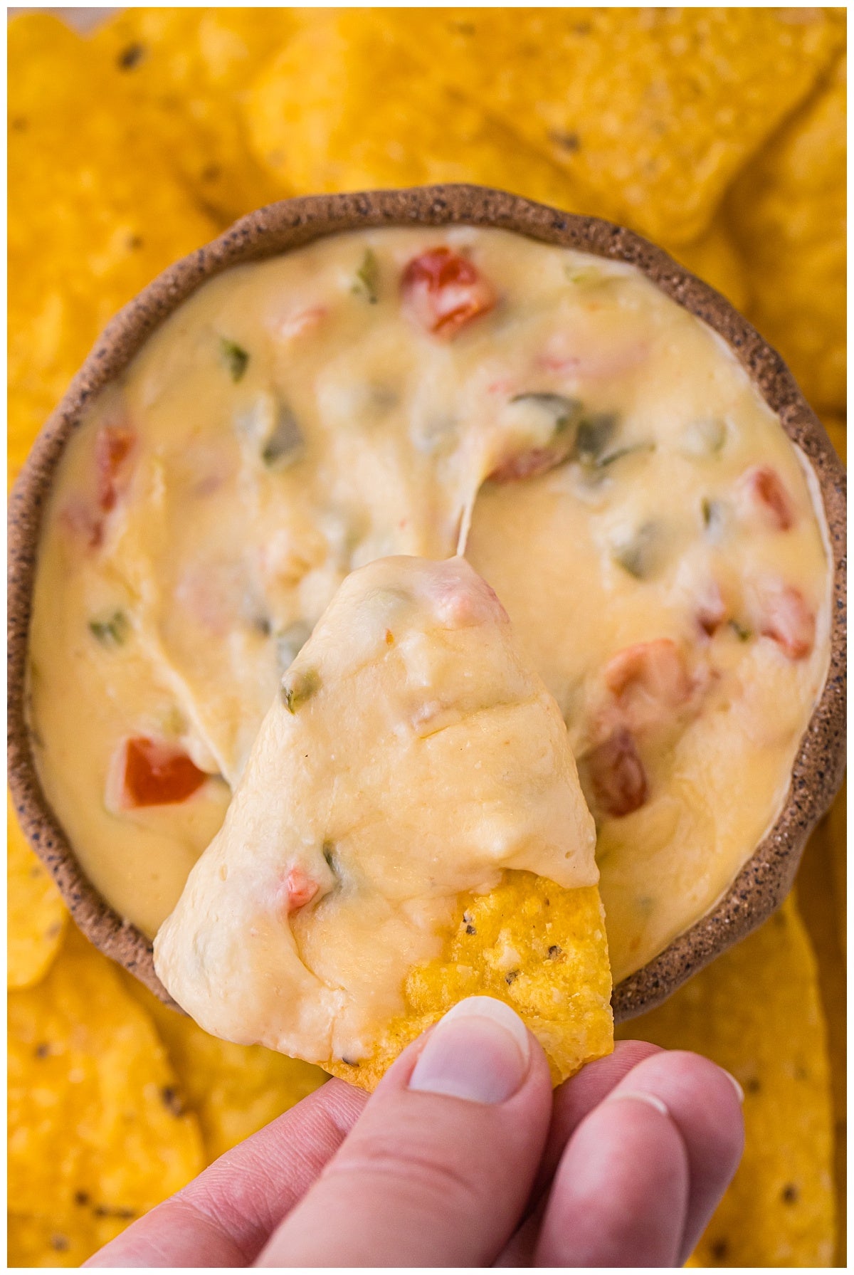 Chipotle Queso Exclusive