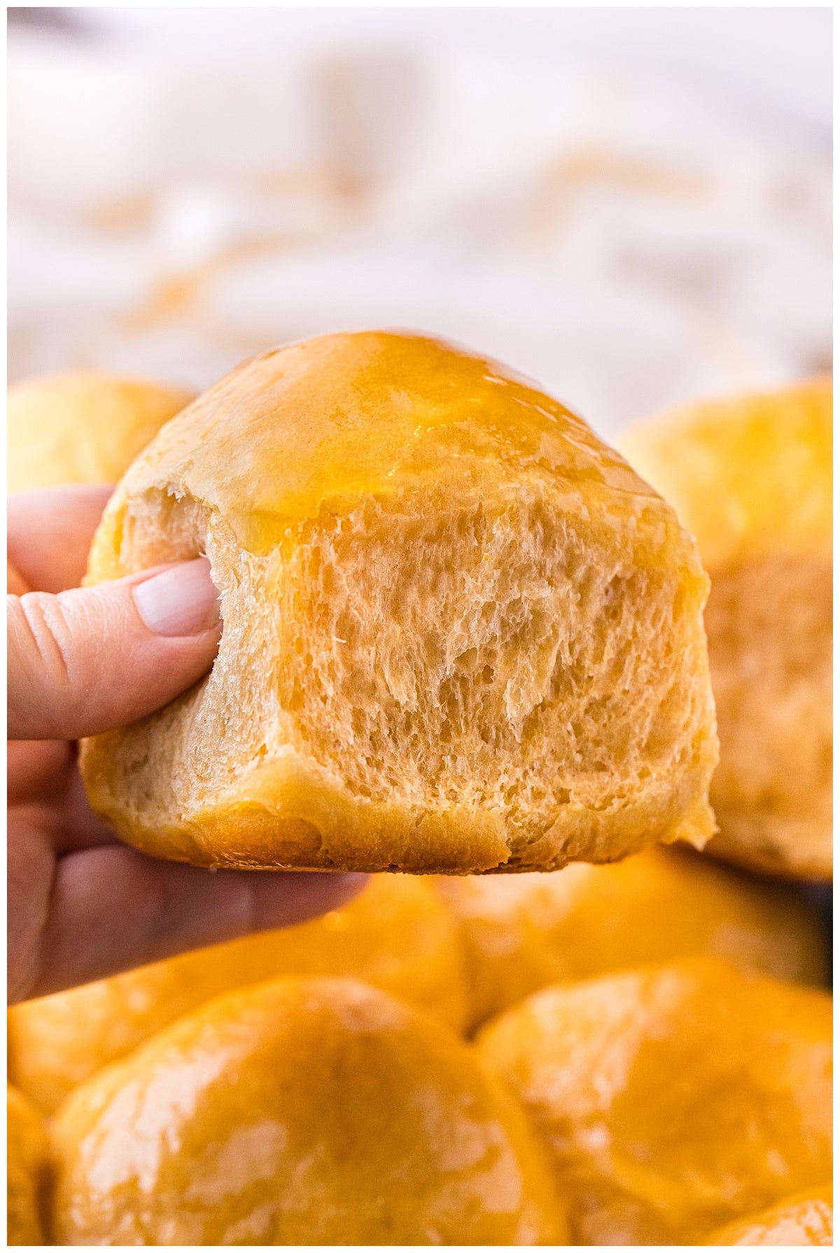 Sweet Potato Bread Rolls Exclusive