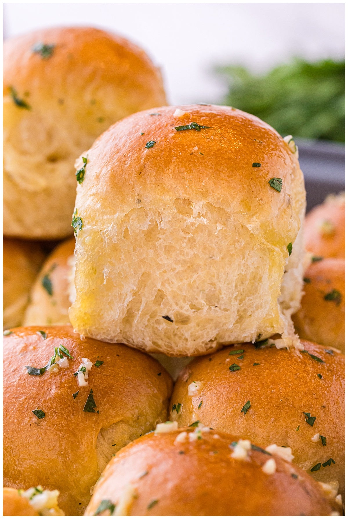 Garlic Butter Rolls Exclusive