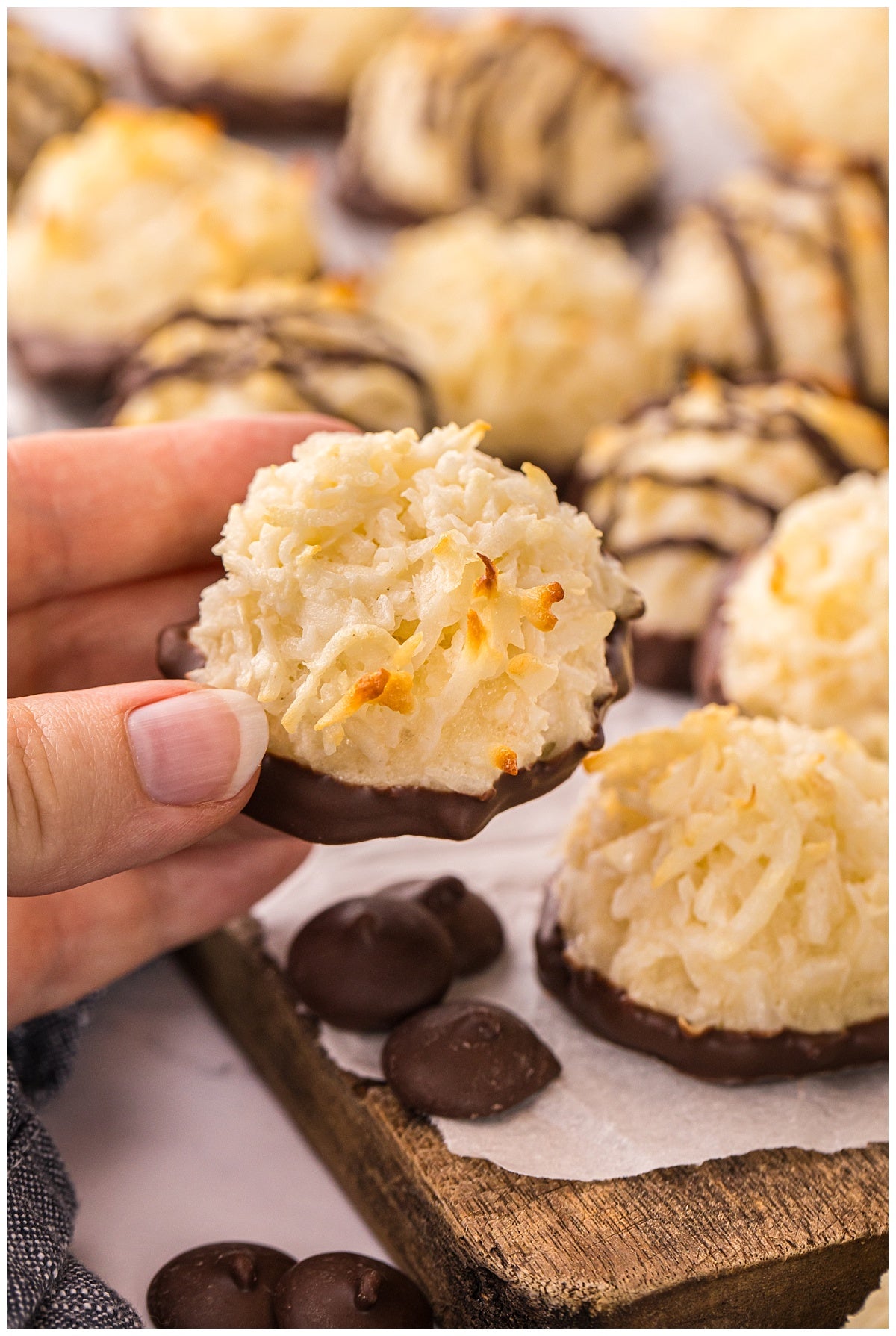 Coconut Macaroons Exclusive