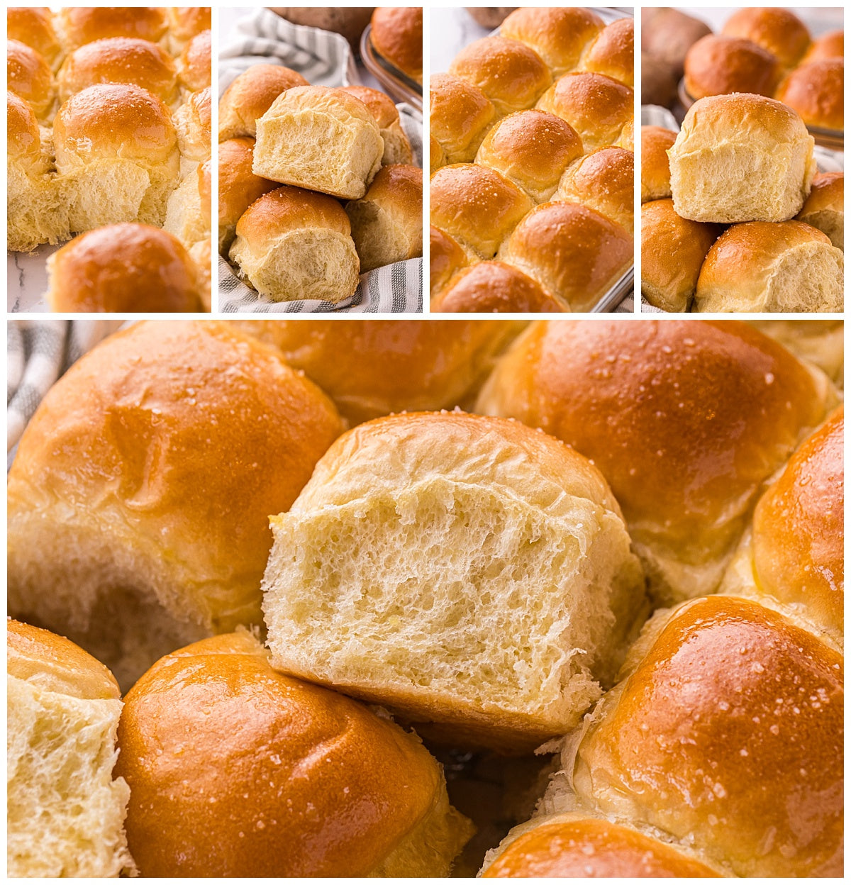 Potato Bread Rolls Exclusive