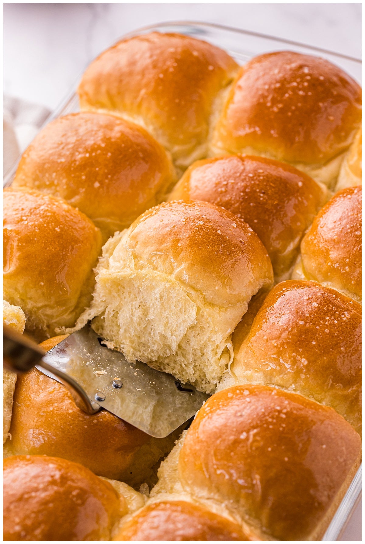 Potato Bread Rolls Exclusive