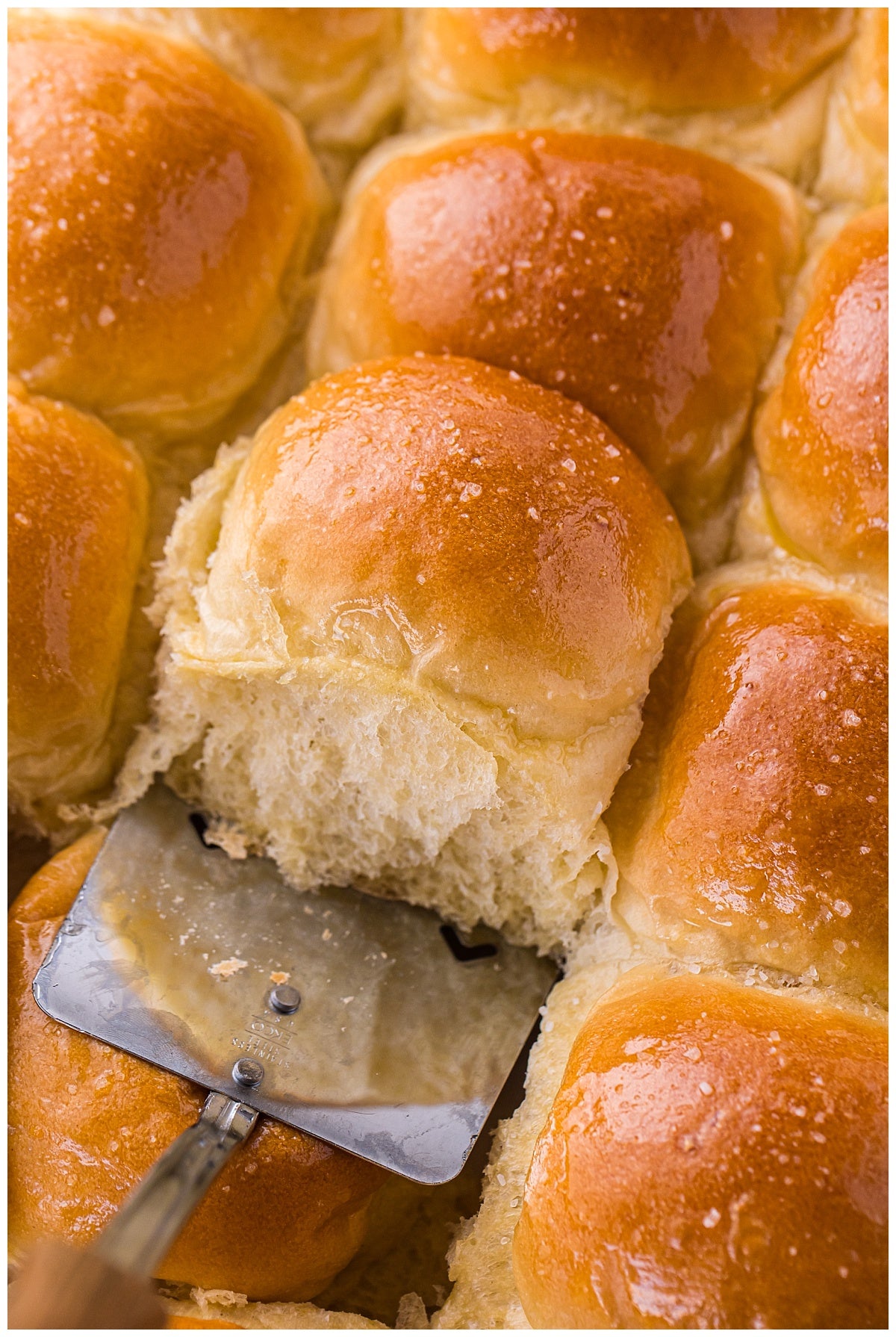 Potato Bread Rolls Exclusive