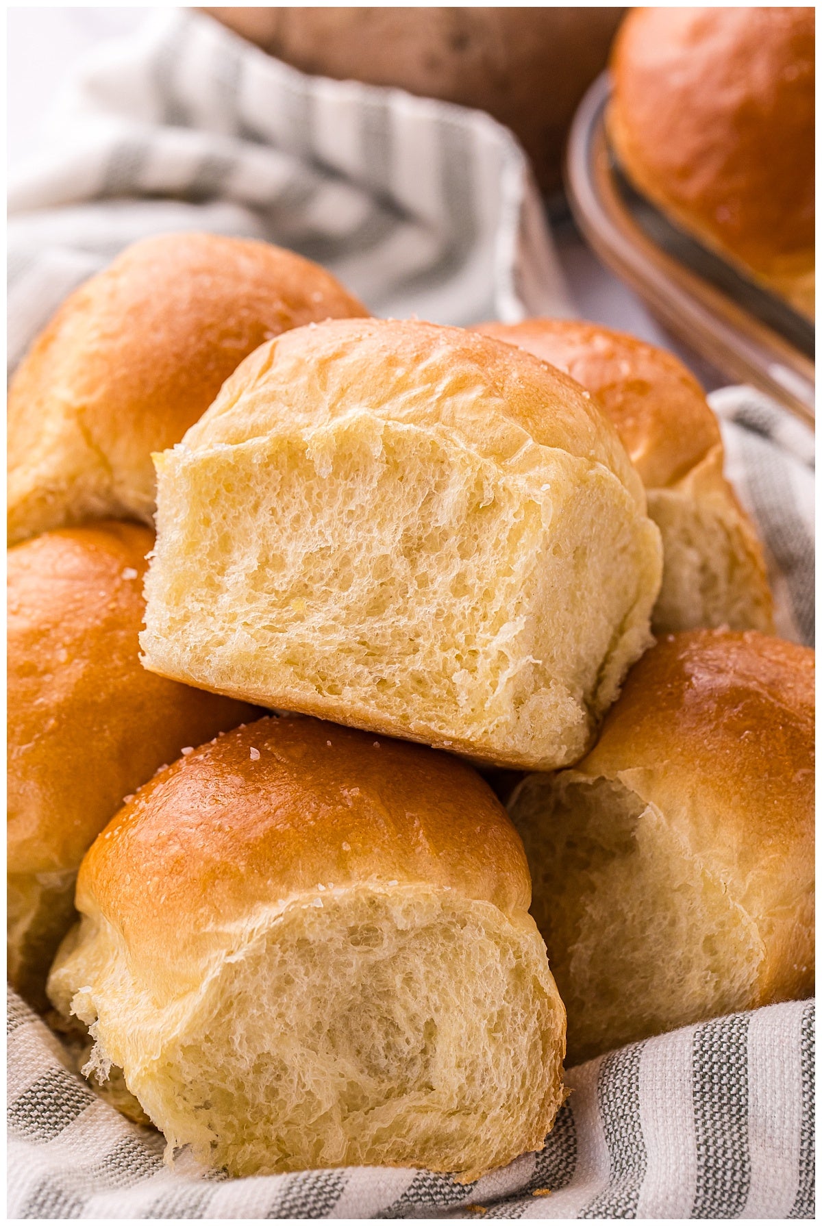Potato Bread Rolls Exclusive