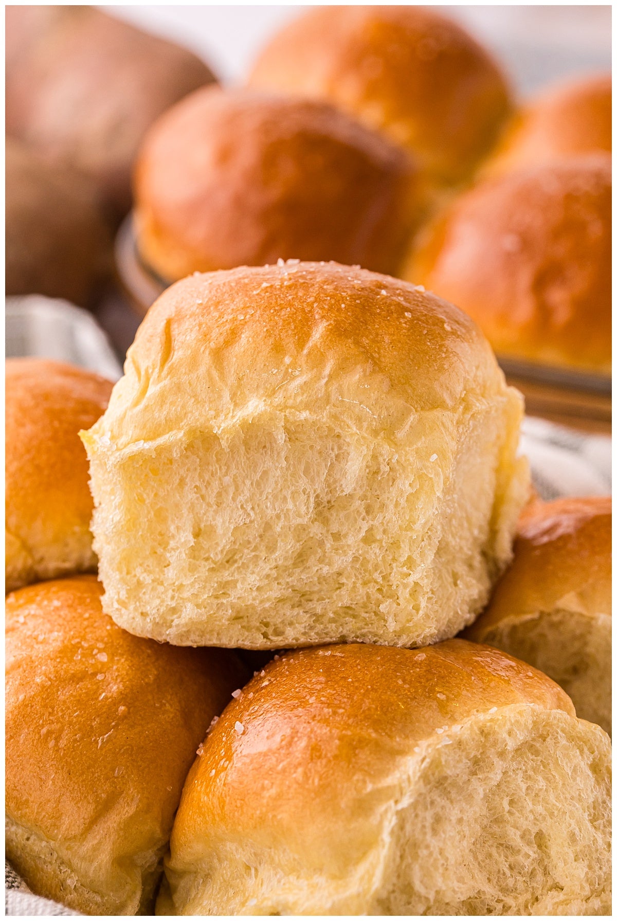 Potato Bread Rolls Exclusive