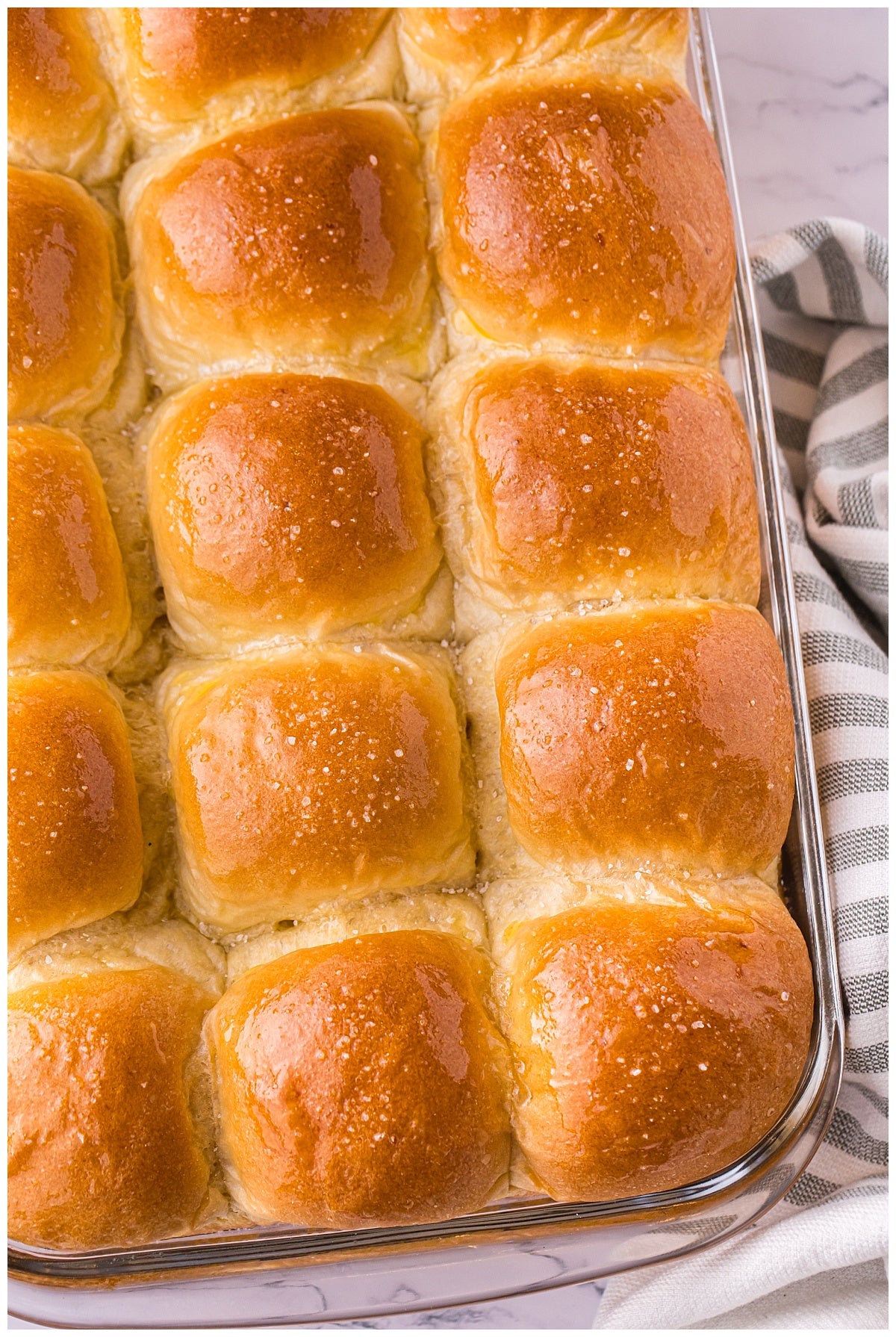 Potato Bread Rolls Exclusive