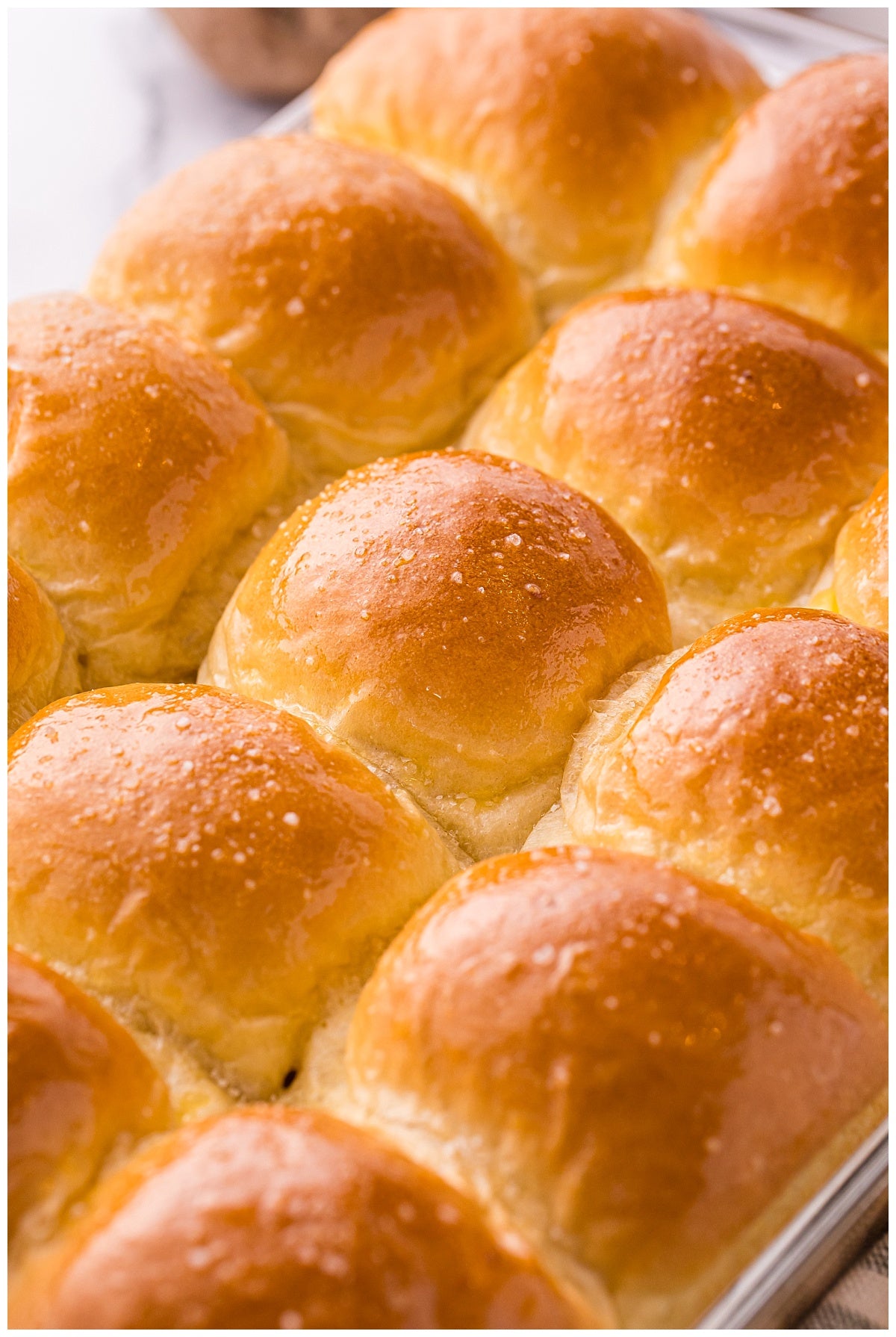 Potato Bread Rolls Exclusive