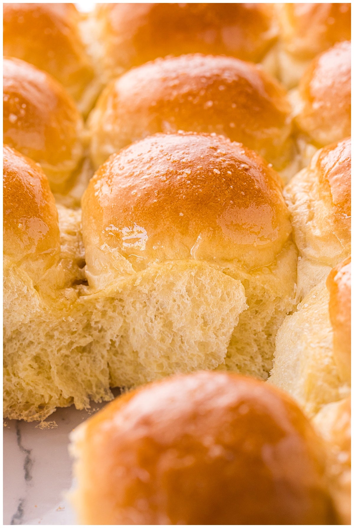 Potato Bread Rolls Exclusive