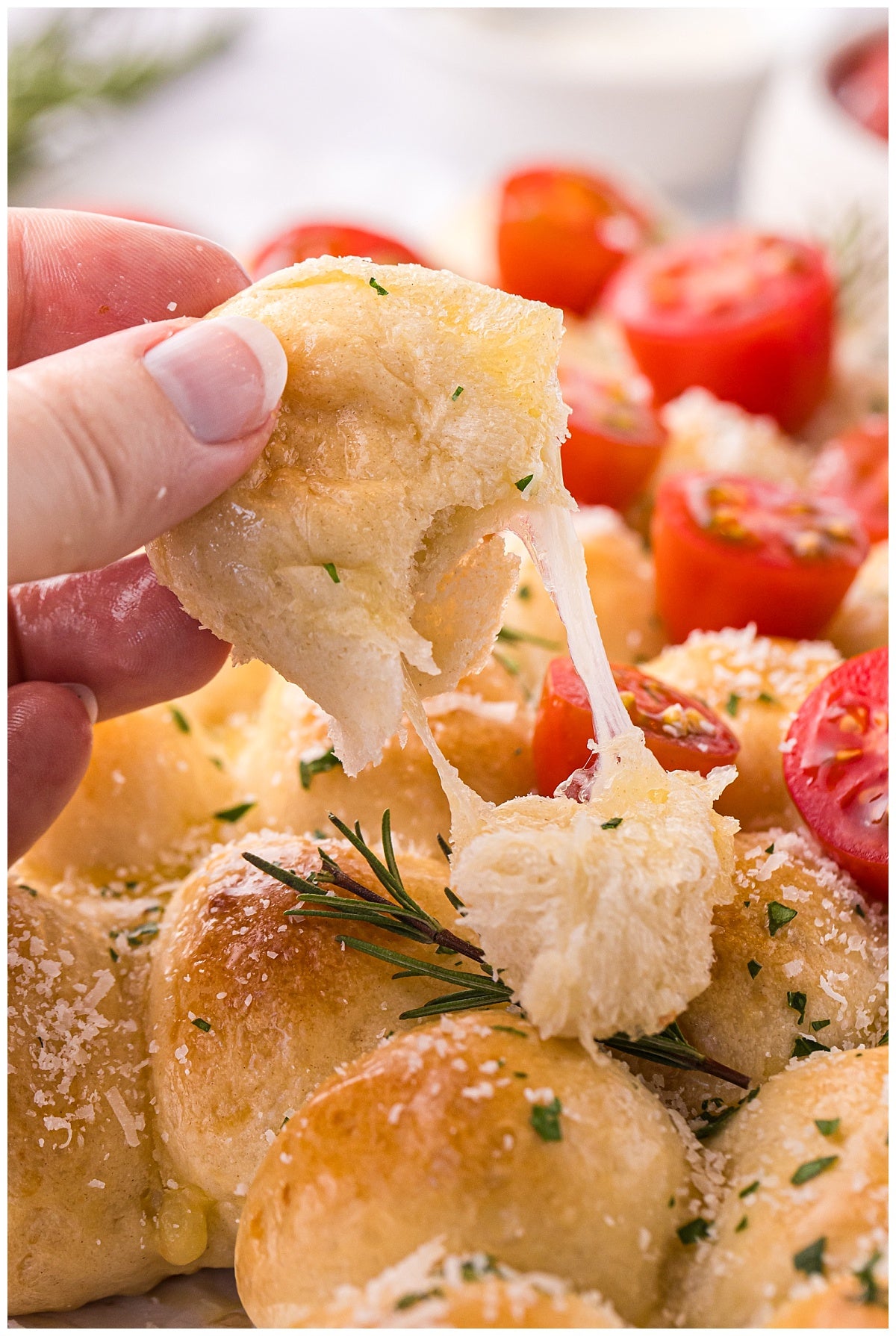 Christmas Tree Pull Apart Bread Exclusive