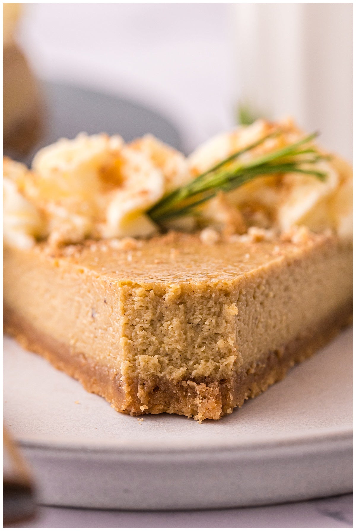 Baked Gingerbread Cheesecake Exclusive
